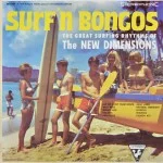 SURF-N-BONGOS-pays-basque