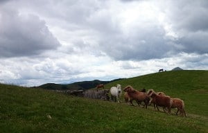 Col-des-Veaux-pays-basque