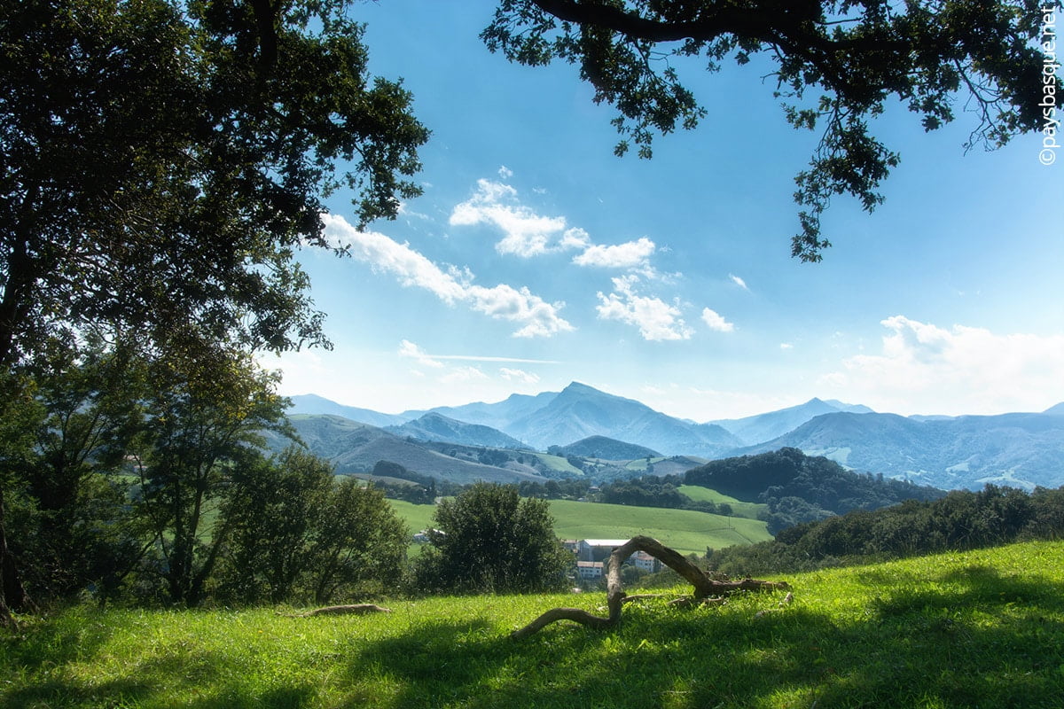 Randonn E Mont Ursuya Paysbasque Net