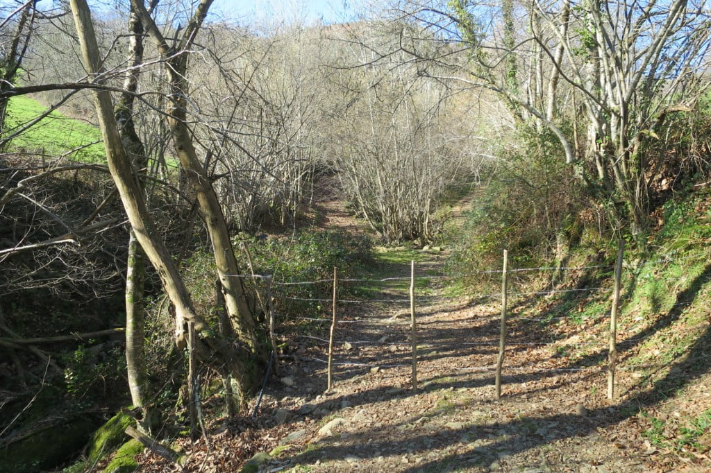 haltzamendi-montagne-paysbasque-barriere