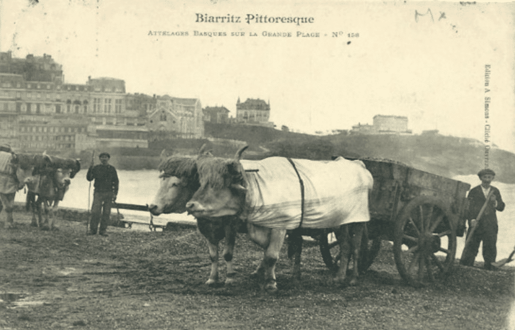 mantes-a-boeufs-pays-basque