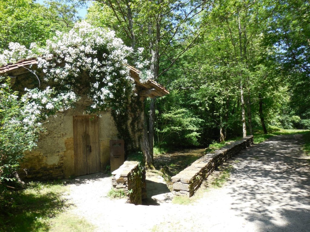 Pagoeta-parc-naturel-navarre-en-pays-basque