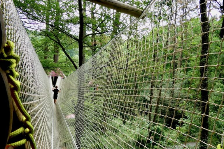 Wow-Parc-de-loisir-hendaye-urrugne-cabane-dans-les-arbres-au-pays-basque