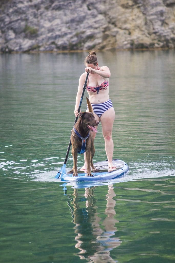 paddle chien pays basque