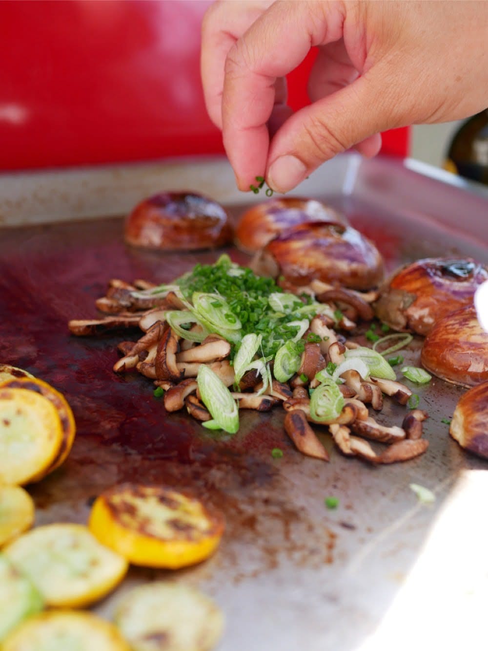 Légumes Grillés à La Plancha 6599